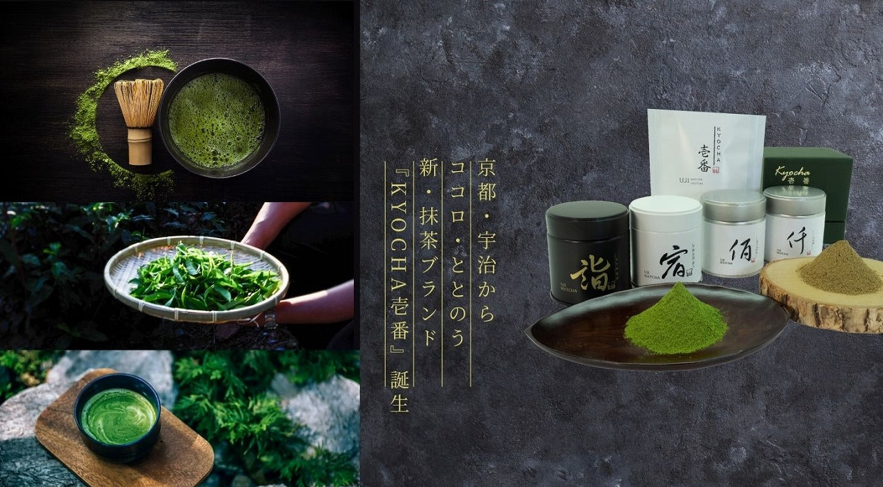 動画を読み込む: 